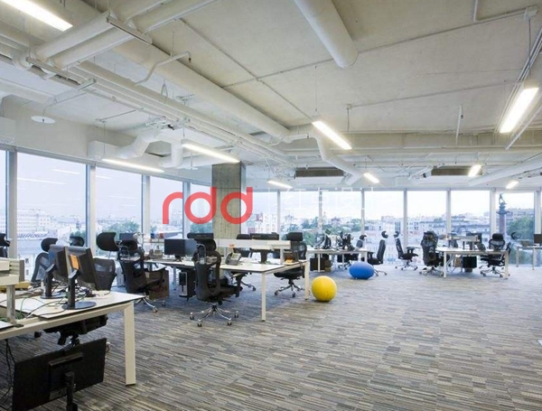 timg (1).jpg timg (1).jpg